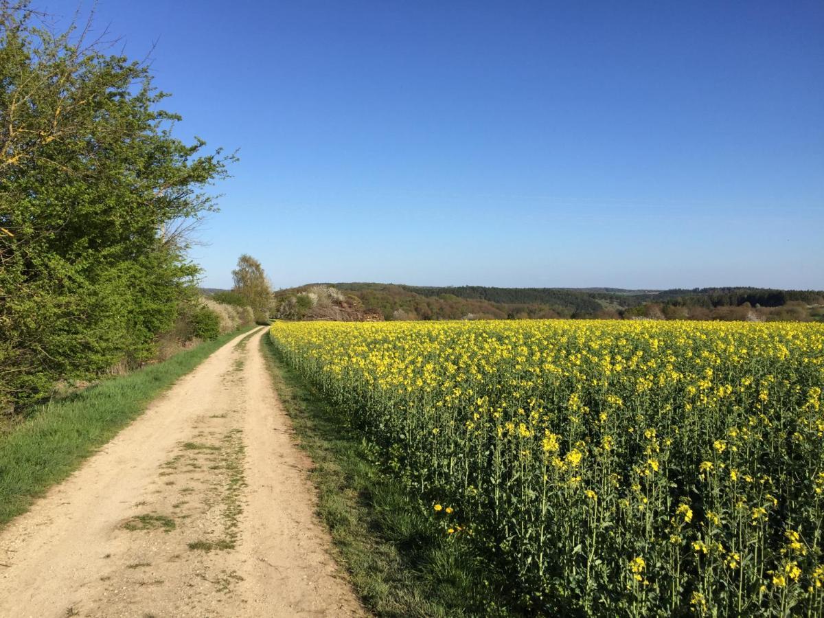 Ferienwohnung Pagel Riedenburg Esterno foto